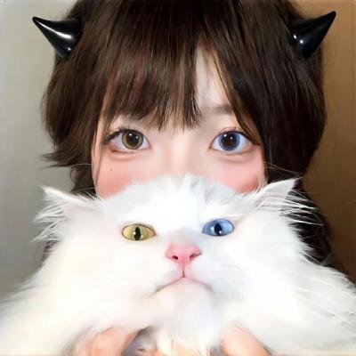 大瓷商