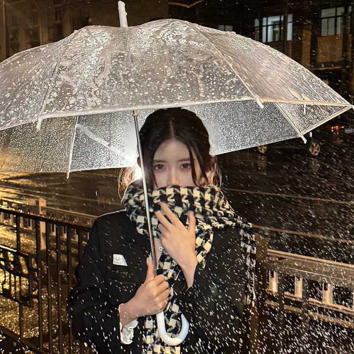 布里叶女士
