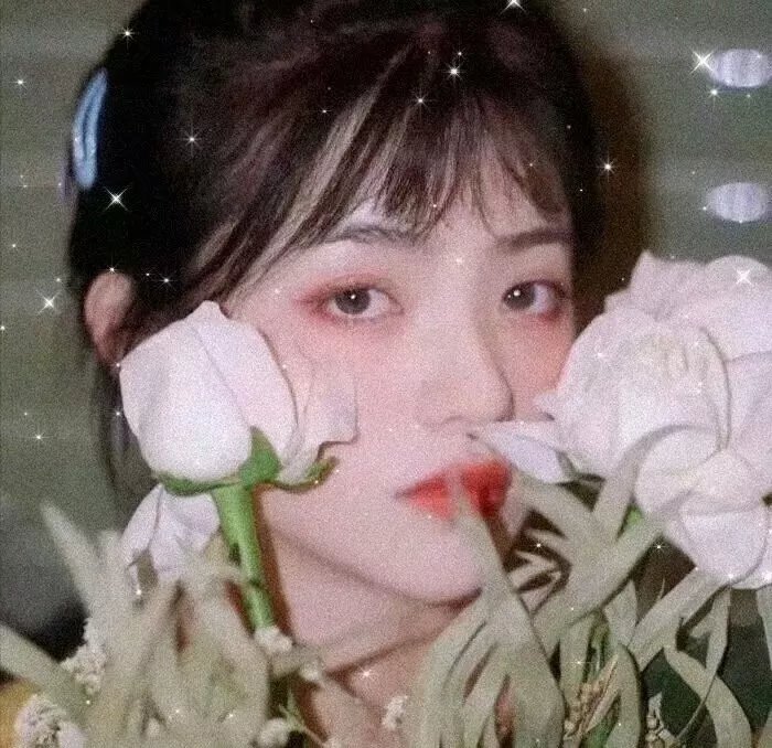寒夜星暖